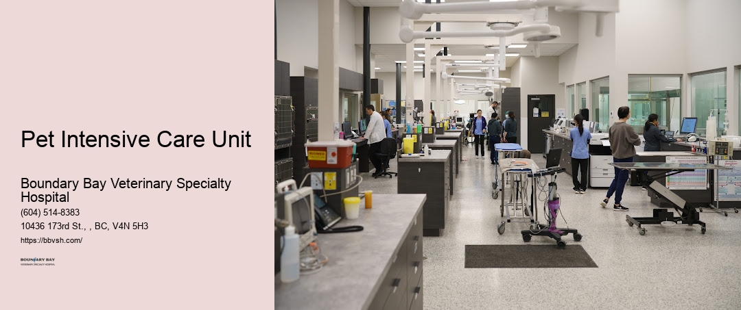 24-Hour Pet Urgent Care Pet Intensive Care Unit Surrey