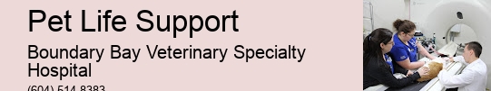 Urgent Pet Medical Care Pet Life Support Surrey