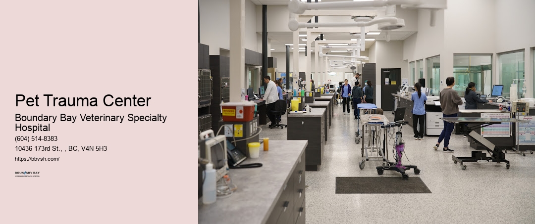 24-Hour Pet Hospital Near Me Pet Trauma Center Surrey