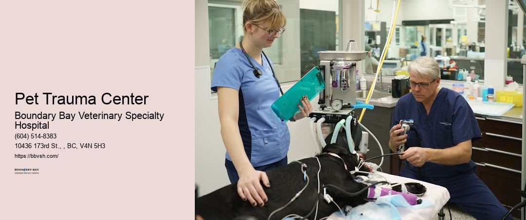 24/7 Animal Emergency Pet Trauma Center Surrey
