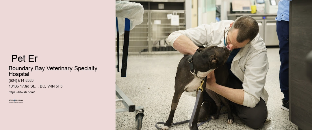 Vet Urgent Care Surrey Pet Er