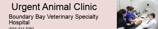 Surrey Urgent Animal Clinic Pet Hospital For Emergencies