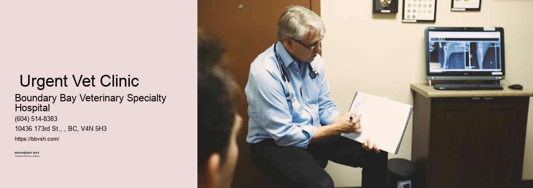 Emergency Vet Hospital Surrey Urgent Vet Clinic