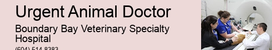 Animal Crisis Care Urgent Animal Doctor Surrey