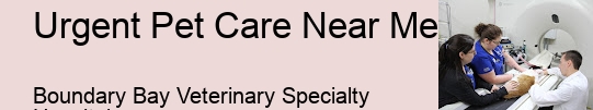 Emergency Animal Doctor Urgent Pet Care Near Me Surrey