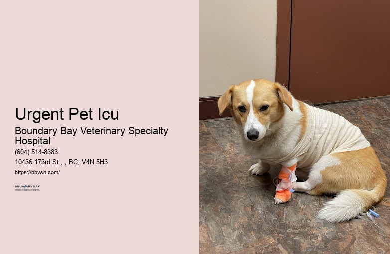 Emergency Puppy Care Urgent Pet Icu Surrey