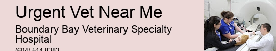Urgent Pet Doctor Urgent Vet Near Me Surrey