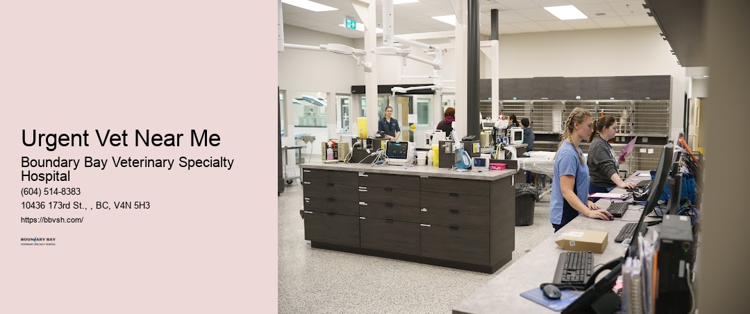 24-Hour Animal Clinic Near Me Urgent Vet Near Me Surrey