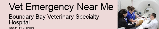 Pet Critical Condition Care Vet Emergency Near Me Surrey