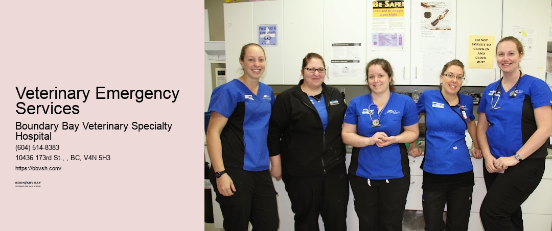 Pet Trauma Center Veterinary Emergency Services Surrey