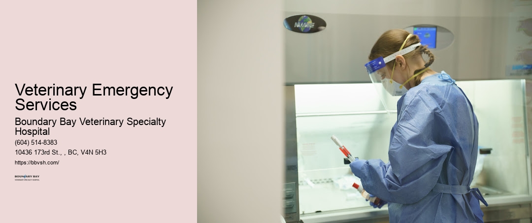 24-Hour Pet Doctor Veterinary Emergency Services Surrey
