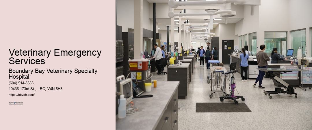 Veterinary Emergency Services Surrey Urgent Vet Clinic