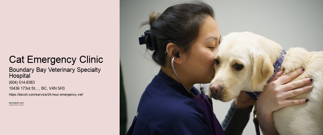 Cat Emergency Clinic Surrey
