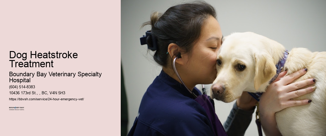 Dog Heatstroke Treatment Surrey