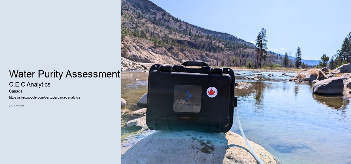 Water Purity Assessment