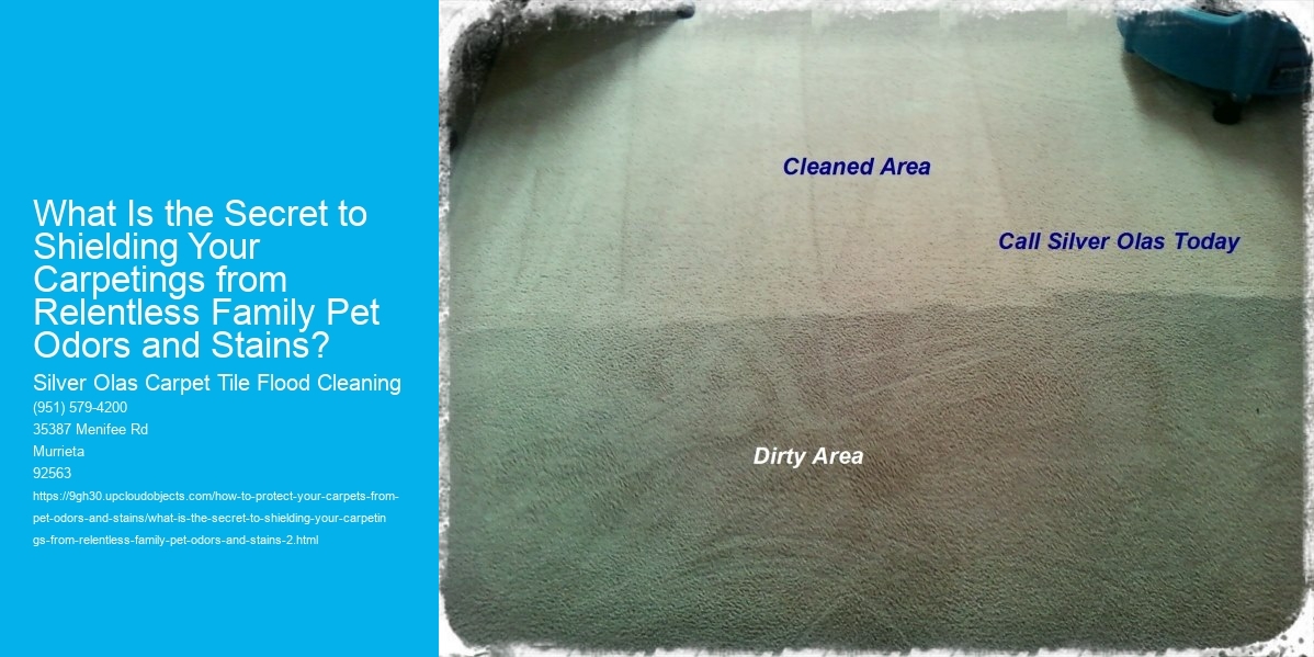 What Is the Secret to Shielding Your Carpetings from Relentless Family Pet Odors and Stains?