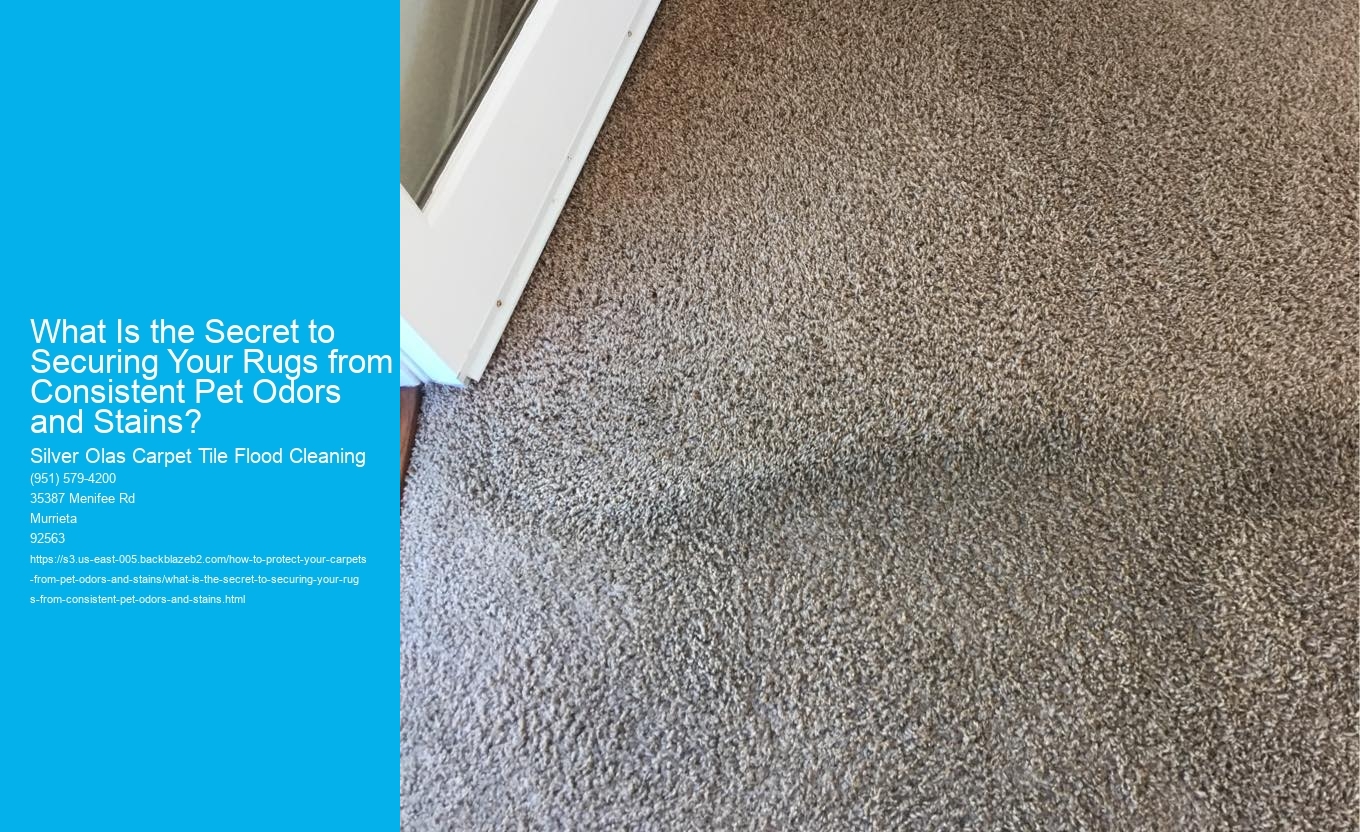 What Is the Secret to Securing Your Rugs from Consistent Pet Odors and Stains?