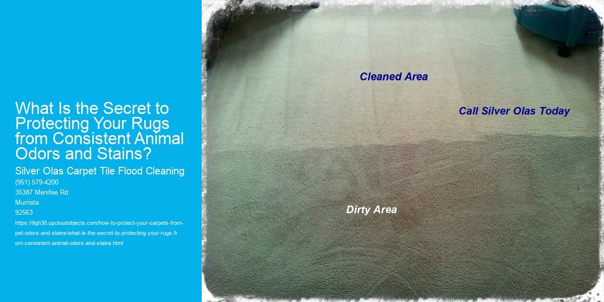 What Is the Secret to Protecting Your Rugs from Consistent Animal Odors and Stains?