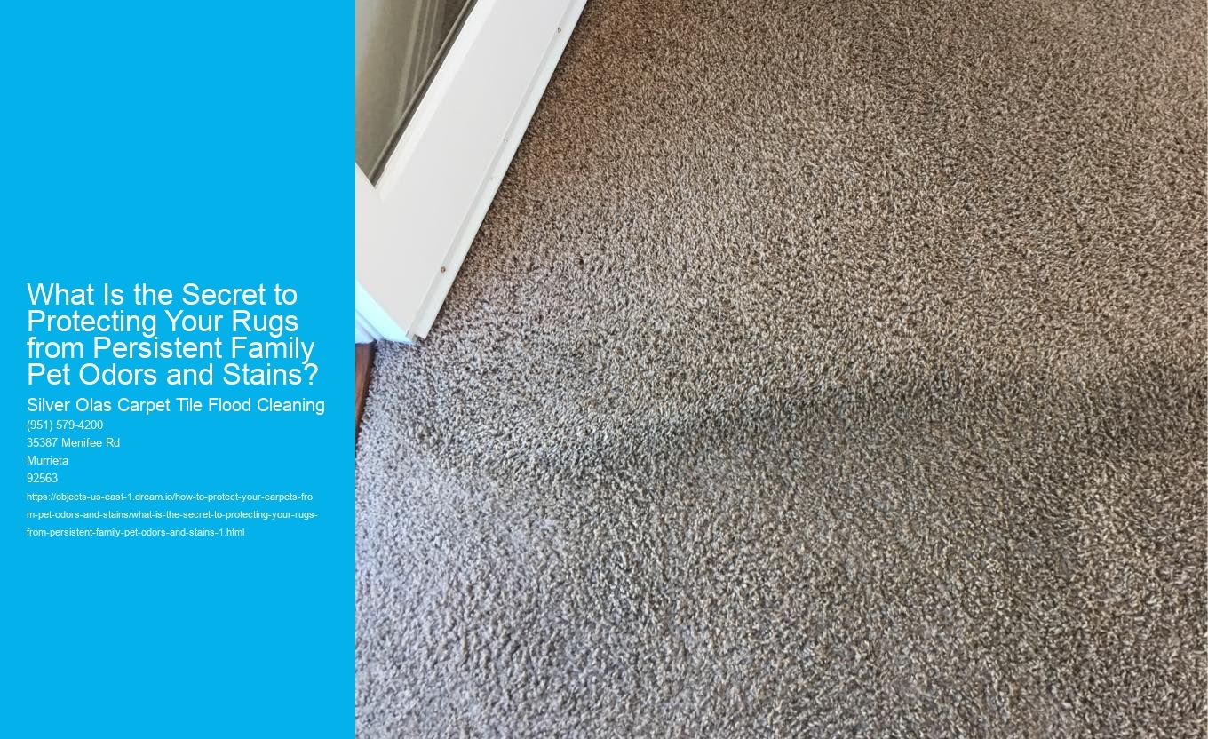 What Is the Secret to Protecting Your Rugs from Persistent Family Pet Odors and Stains?