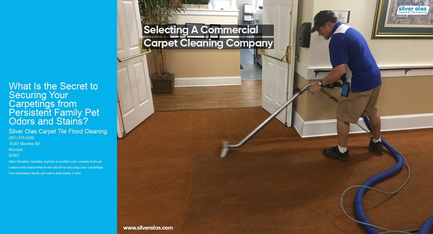 What Is the Secret to Securing Your Carpetings from Persistent Family Pet Odors and Stains?