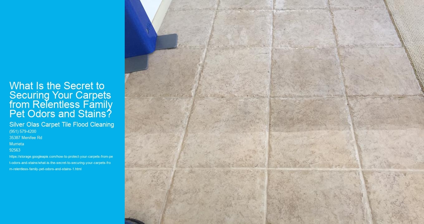 What Is the Secret to Securing Your Carpets from Relentless Family Pet Odors and Stains?