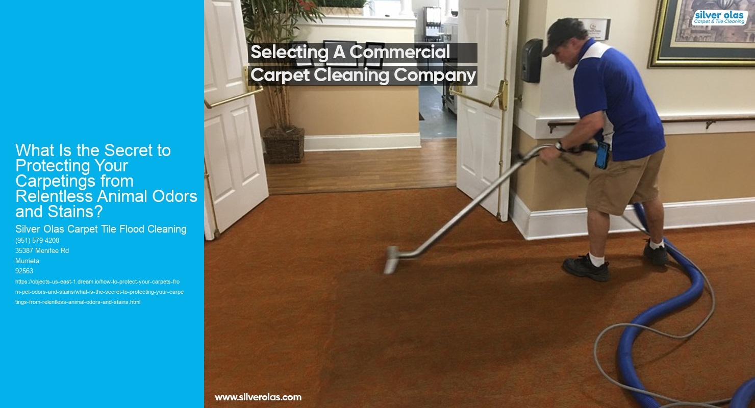What Is the Secret to Protecting Your Carpetings from Relentless Animal Odors and Stains?