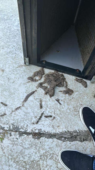 AC Compressor Replacement Steps