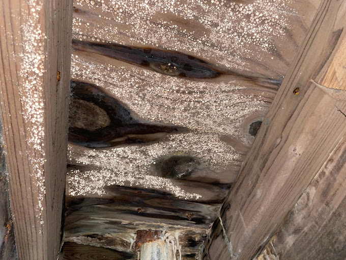 Addressing Moisture Sources: Plumbing Leaks, Roof Repairs, and Ventilation Improvements