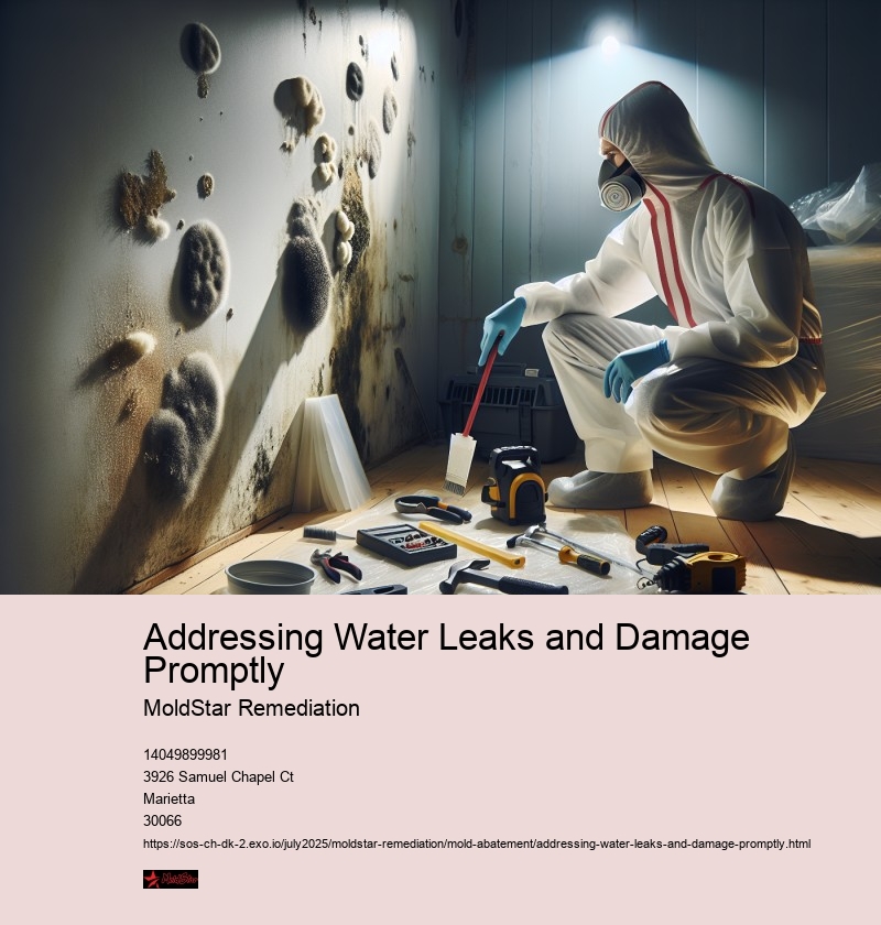 Identifying Water-Damaged Areas Prone to Mold Growth