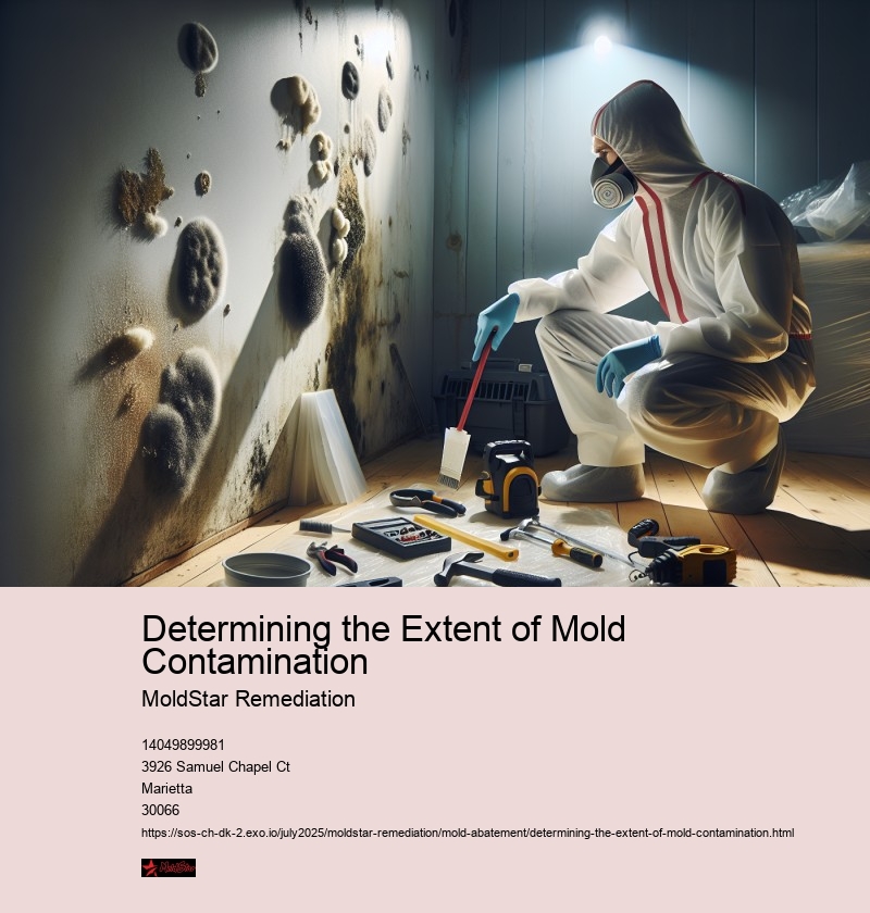 Sampling Methods and Analysis for Mold Identification
