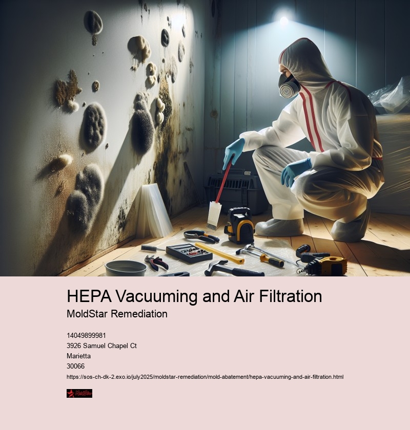 HEPA Vacuuming Procedures for Mold Remediation