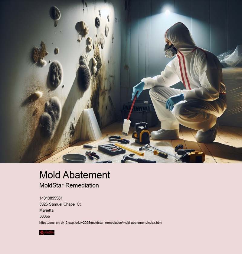 Mold Remediation Techniques and Best Practices