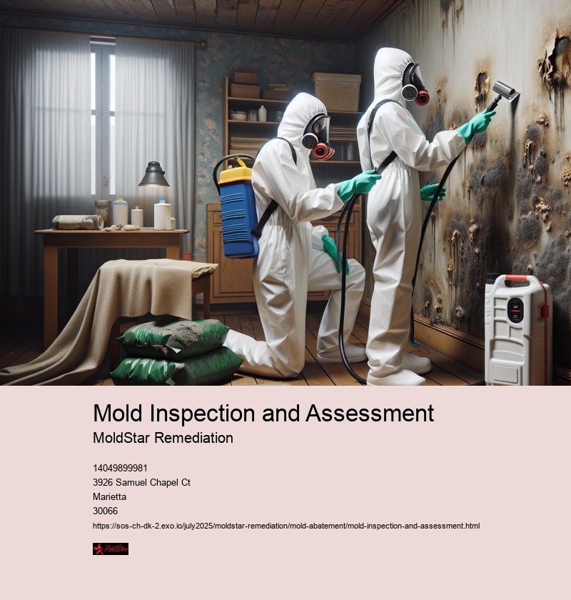 Mold Remediation Protocols Based on Assessment Results