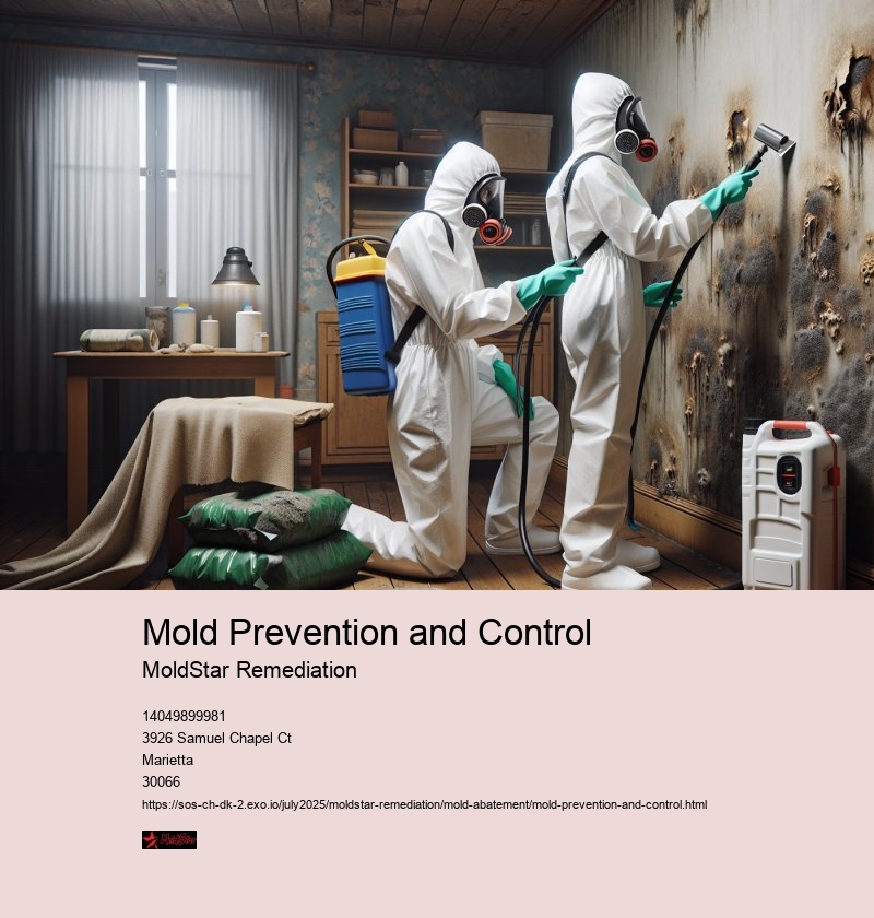 Mold Remediation Strategies: Containment, Removal, and Disposal