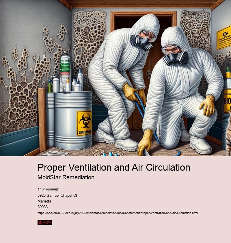Ventilation Strategies for Mold Remediation