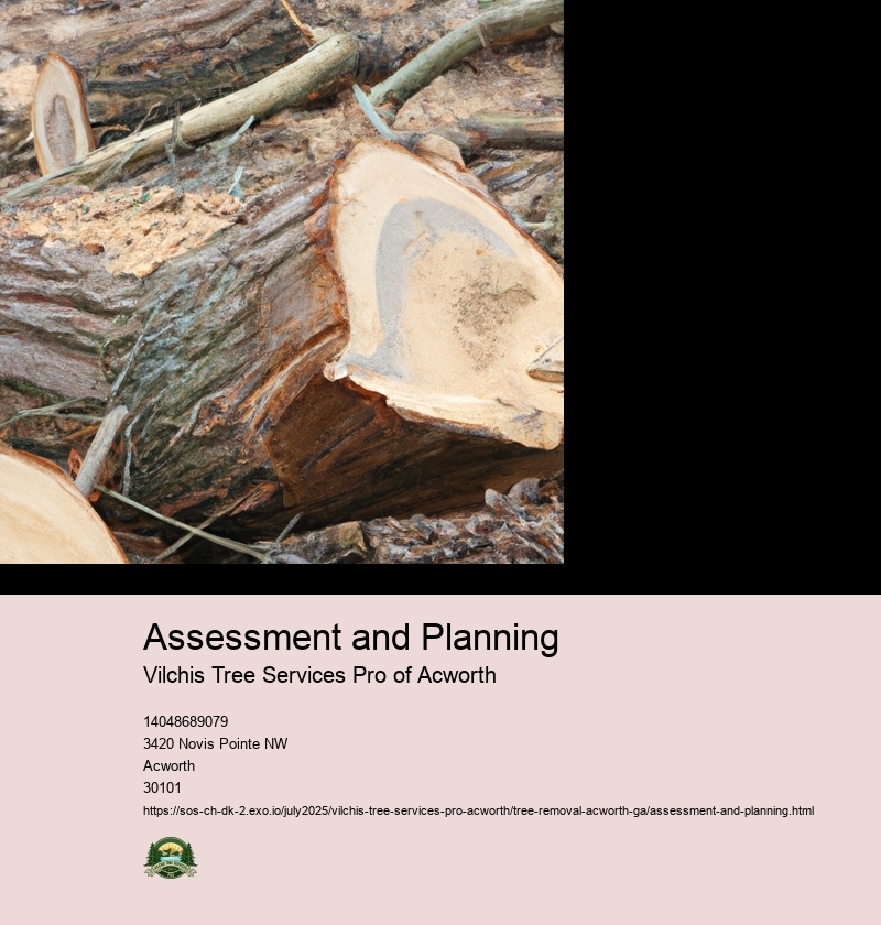 Assessment and Planning