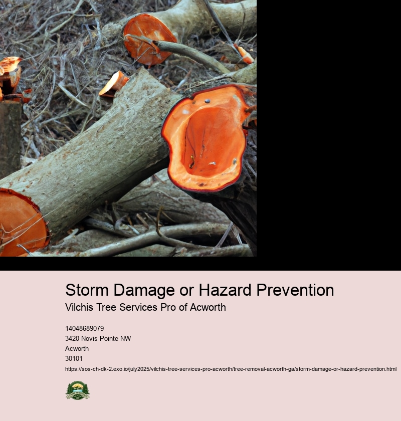 Storm Damage or Hazard Prevention
