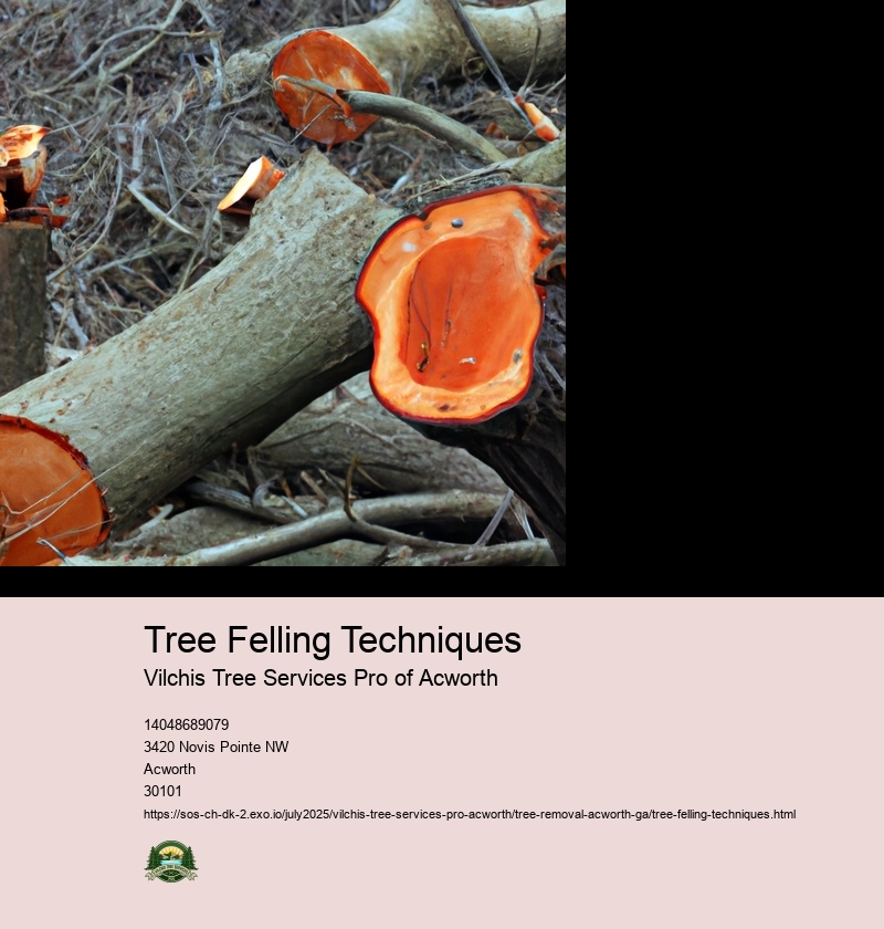 Tree Felling Techniques