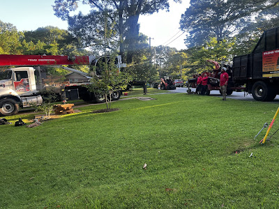 Site Cleanup and Debris Disposal