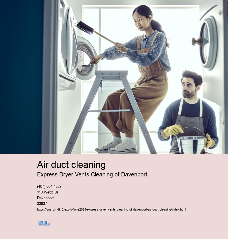 air duct cleaning 