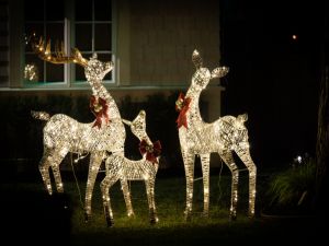 Are professional Christmas light installers worth it in Austin?