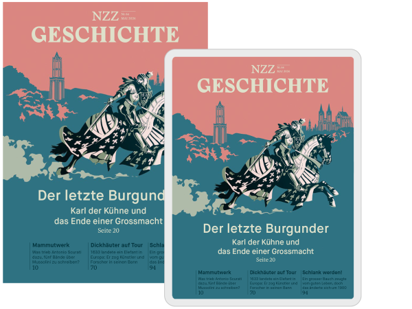 nzz geschichte