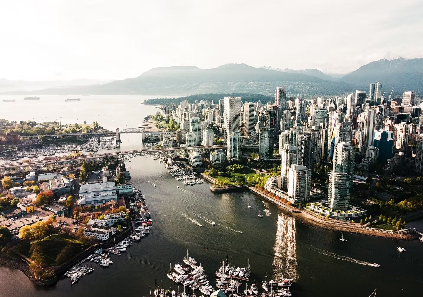 Best Adoption Lawyer in Surrey