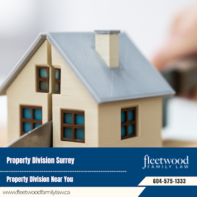 Cohabitation Agreements Surrey Legal Custody Services