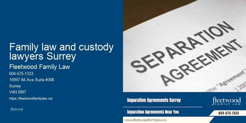 Family law and custody lawyers Surrey