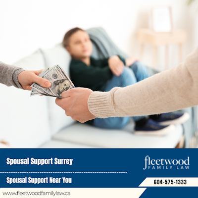 Marriage Contracts Surrey Child Custody Lawyer