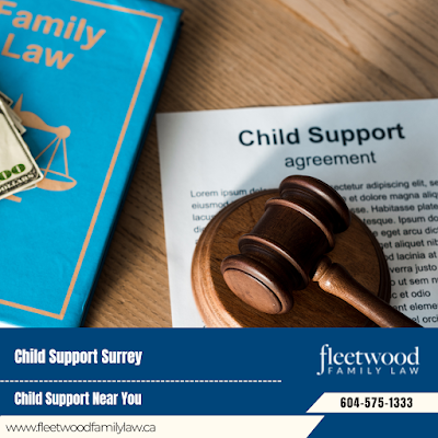 Affordable Family Law Help How to Find a Good Family Lawyer in Surrey