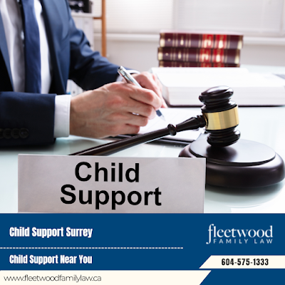 Prenuptial Agreement Lawyer Surrey Court-Appointed Custody Lawyer