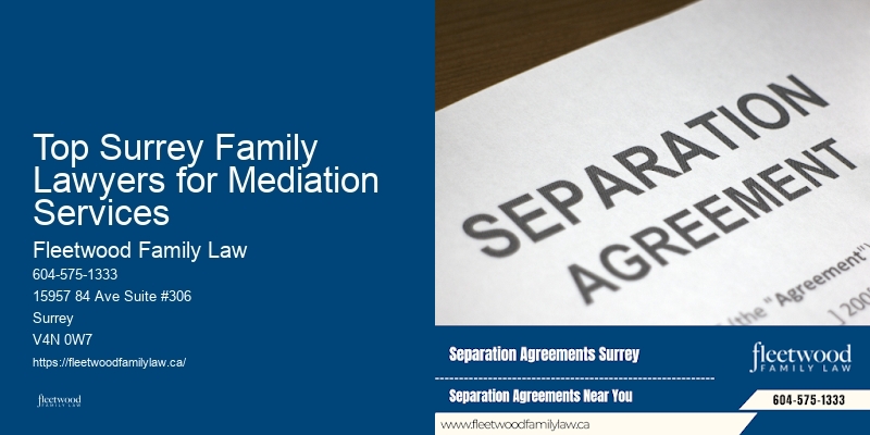 Top Surrey Family Lawyers for Mediation Services