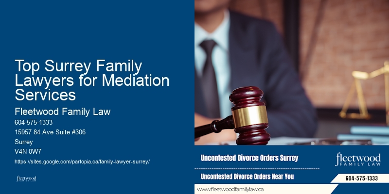 Top Surrey Family Lawyers for Mediation Services